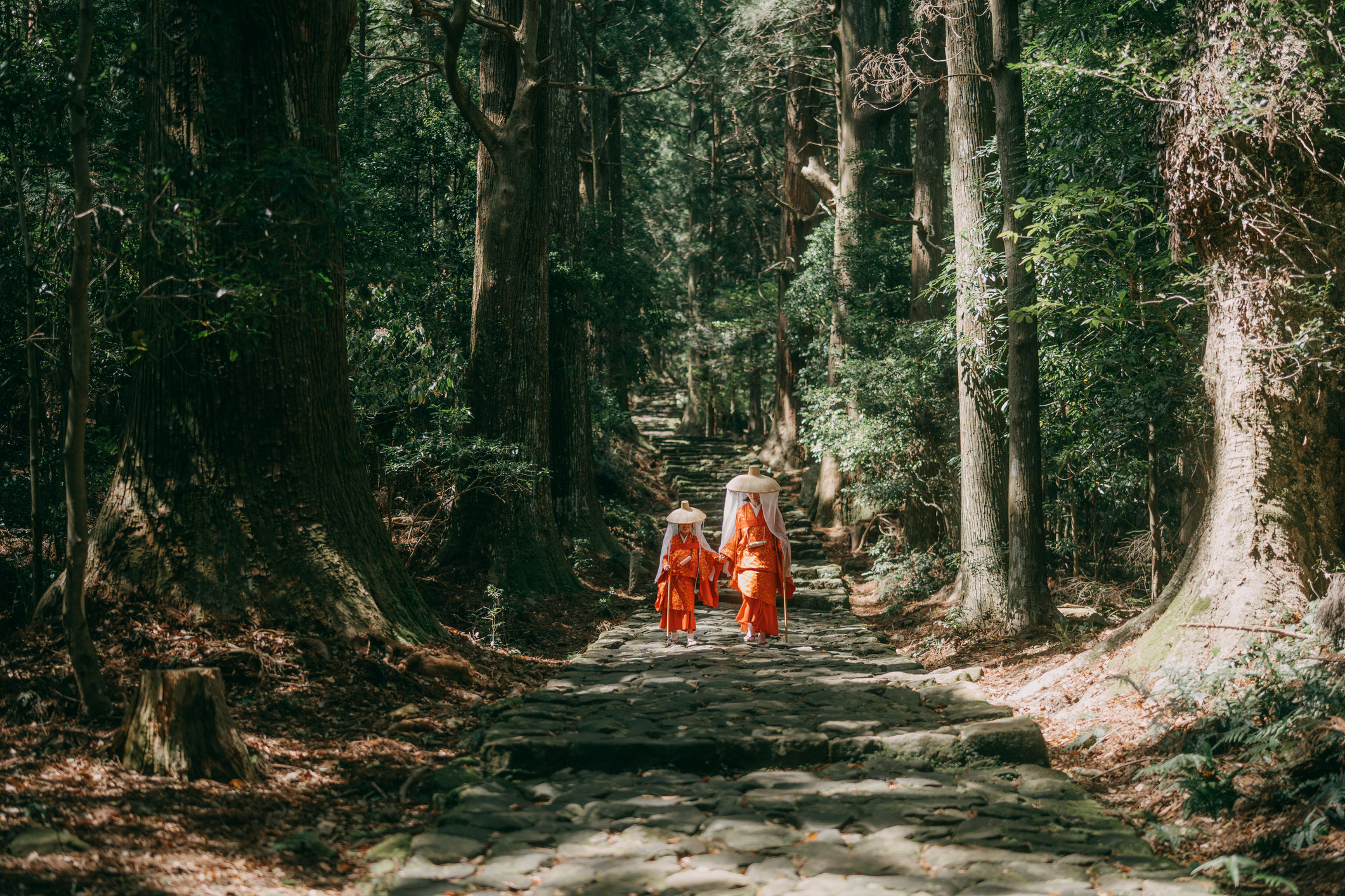 Treed in de voetsporen van keizers en pelgrims op de Kumano Kodo, een eeuwenoud netwerk van paden door de heilige Kii-bergen. De route staat, samen met de Camino de Santiago, als enige pelgrimspad op de Werelderfgoedlijst van Unesco en leidt je langs mystieke shinto-heiligdommen en verborgen warmwaterbronnen (onsen).