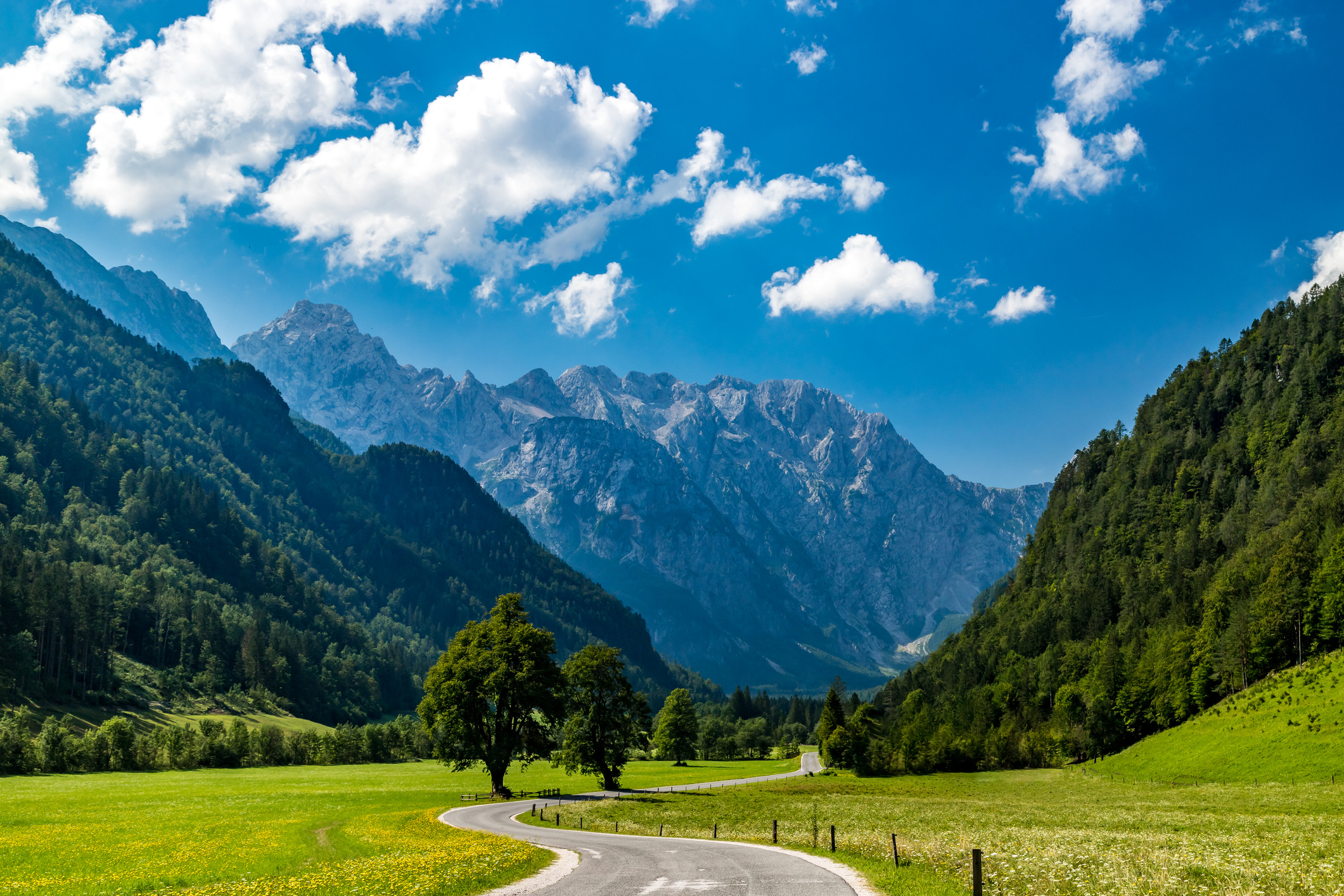Terwijl de massa naar het Meer van Bled stroomt, vind je in de Logarska Dolina (de Logar-vallei) een van de meest ongerepte gletsjervalleien van Europa. Omringd door de Kamnische Alpen kun je hier uren wandelen zonder een andere toerist tegen te komen.