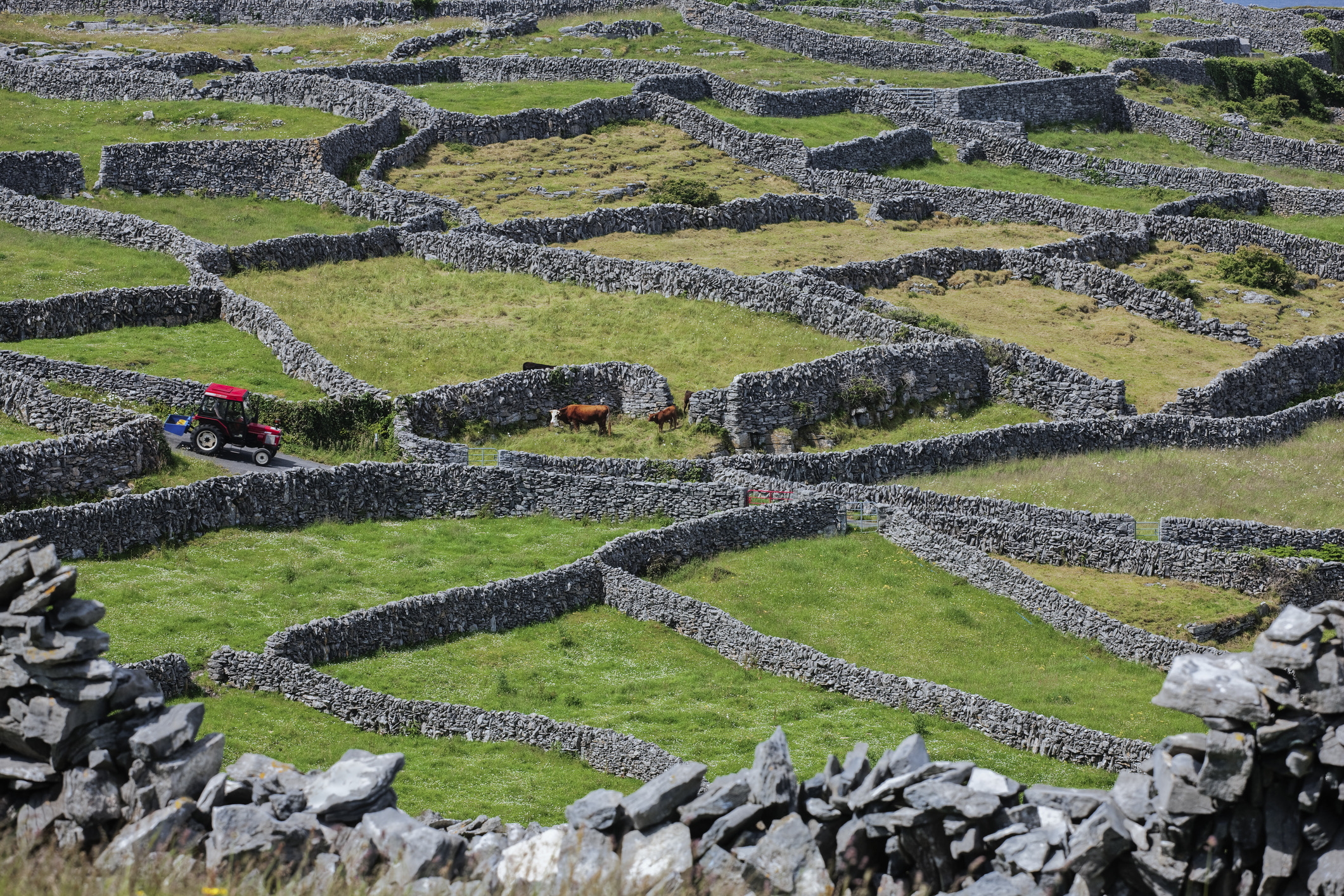 Reis af naar Inis Meáin, het minst bezochte eiland van de Aran-archipel voor de westkust. Hier spreken de bewoners nog Gaelic, word je omringd door een doolhof van Keltische stapelmuurtjes en ervaar je de ultieme Ierse stilte aan de rand van de Atlantische Oceaan.