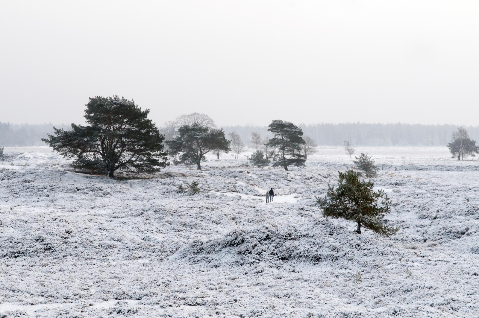 Mooiste natuurroutes van Nederland: Koningspad XL, Friesland