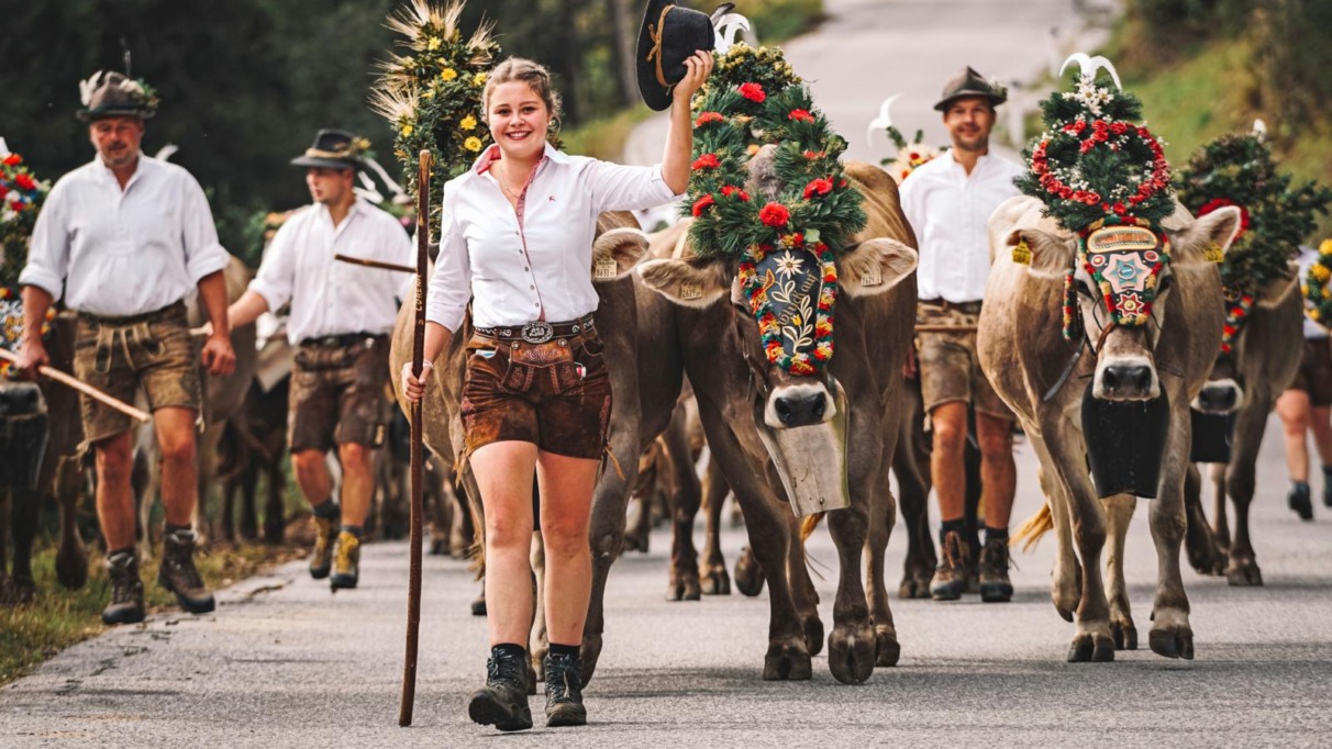 Tijdens het Almabtrieb in Oostenrijk worden de koeien versierd en feestelijk onthaald in het dorp