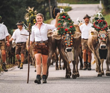 Tijdens het Almabtrieb in Oostenrijk worden de koeien versierd en feestelijk onthaald in het dorp