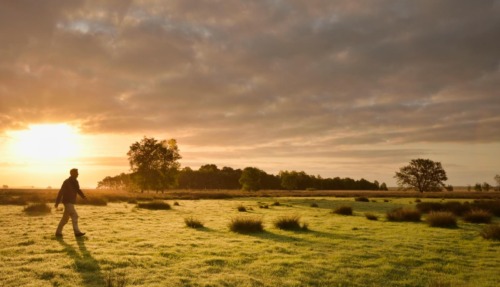 De zes mooiste natuurroutes van Nederland