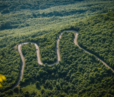 Luchtfoto van een slingerende bergweg door dicht bebost landschap in Noord-Macedonië