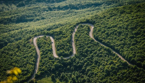 Luchtfoto van een slingerende bergweg door dicht bebost landschap in Noord-Macedonië