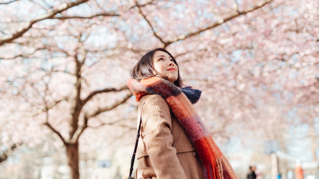 Aziatische vrouw geniet van Sakura kersenbloesem in Japan in de lente