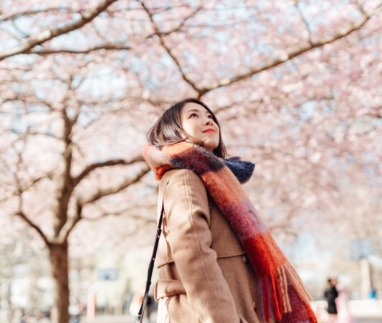 Aziatische vrouw geniet van Sakura kersenbloesem in Japan in de lente