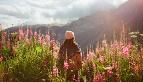 Vrouw staat in zonlicht tussen lupines in de bergen