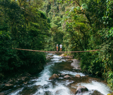 Twee reizigers staan op een hangbrug in de jungle