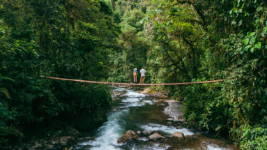 Twee reizigers staan op een hangbrug in de jungle