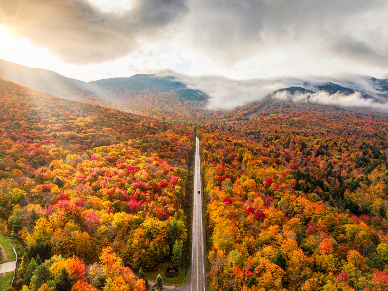 Luchtfoto van een lange weg door felgekleurde herfstbossen in New England, Verenigde Staten.