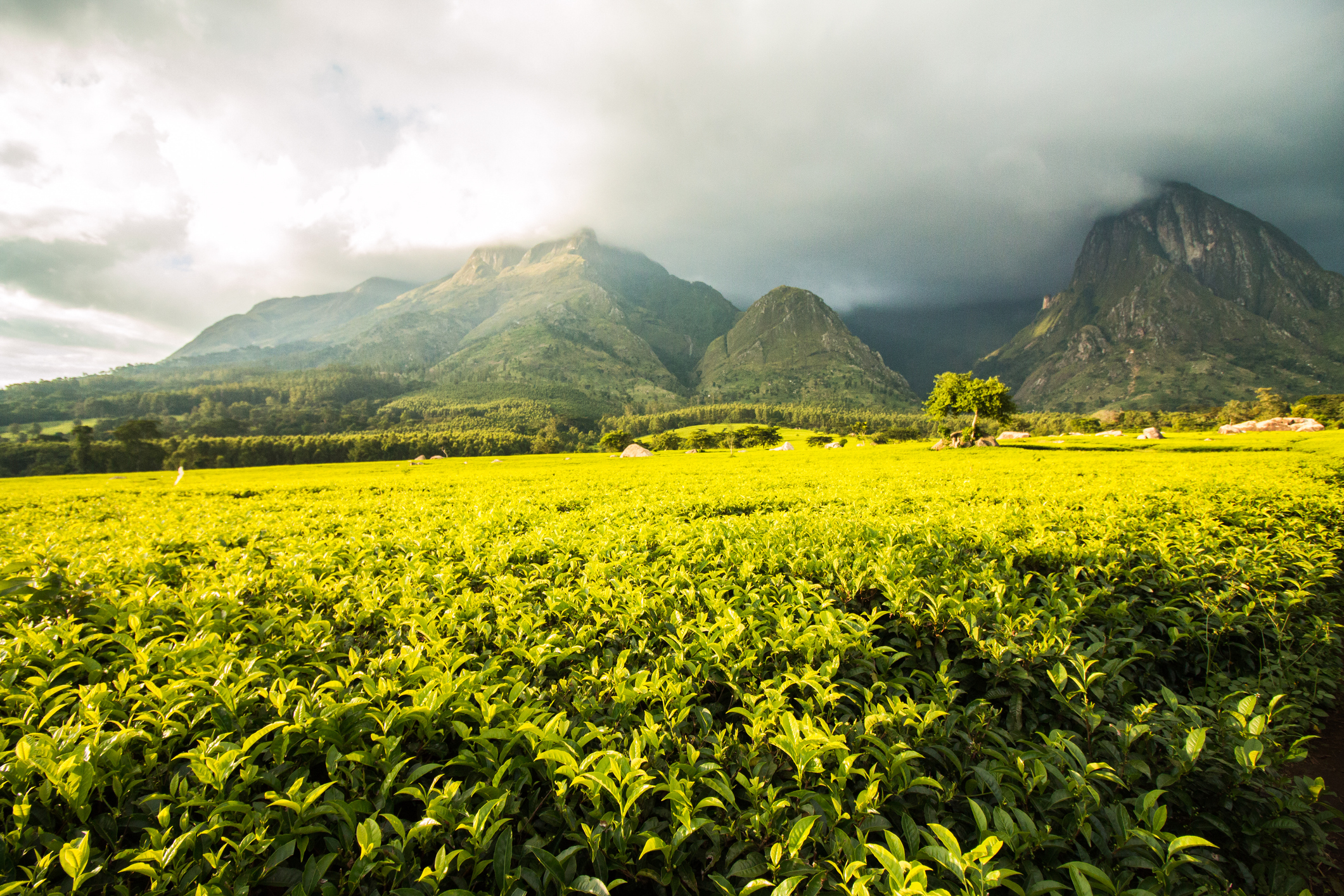 Verken Mulanje, het Malawische eiland in de lucht