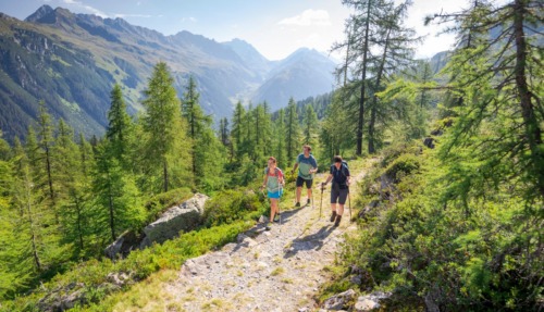 3 wandelaars hiken over de Alpgues Rundweg in Montafon, Oostenrijk