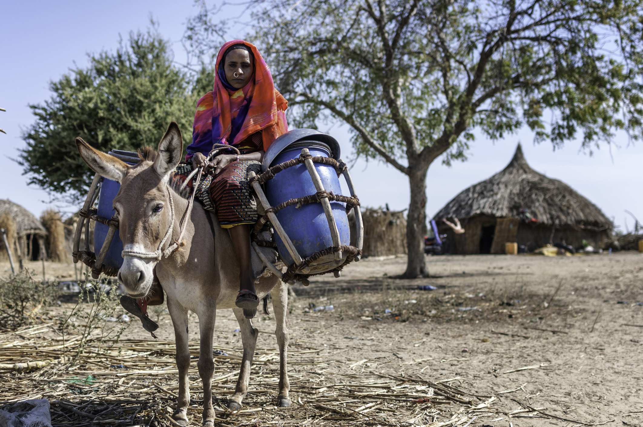 Afrikaanse nomadische vrouw in Tsjaad op ezel in kleurrijke kleding en met een neusring