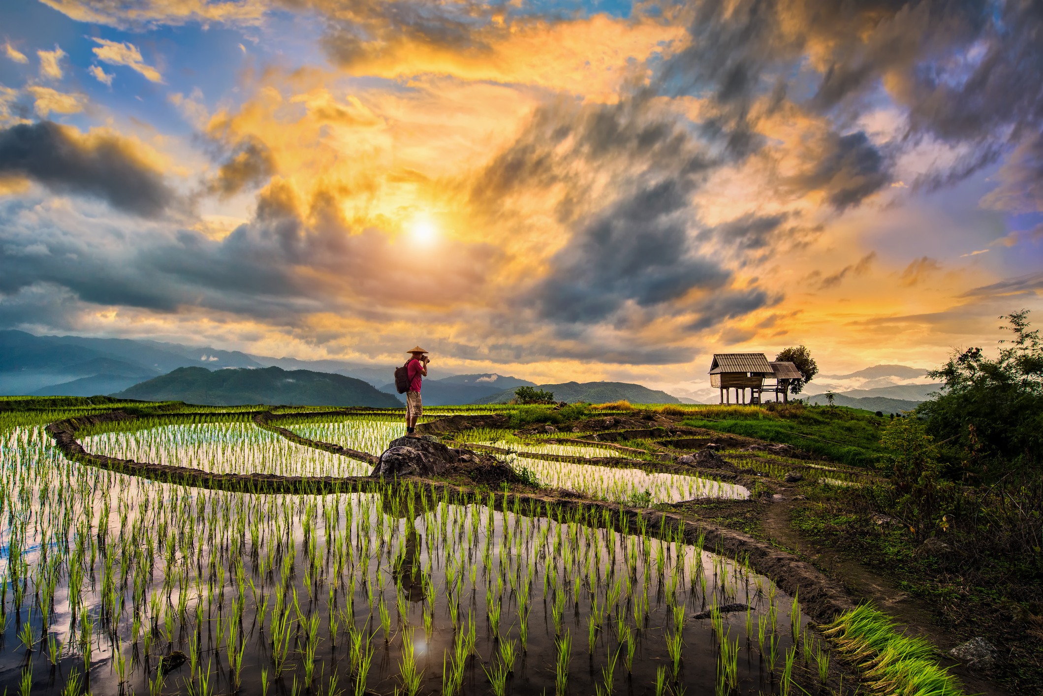 Backpacker met camera fotografeert de rijstvelden tijdens zonsondergang in Chiang Mai, Thailand