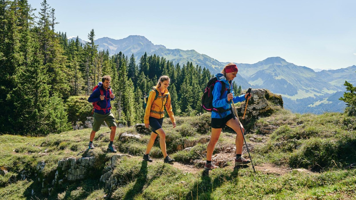 Wandelaars met rugzakken op een bergpad in de Bregenzerwald, omringd door bossen en bergen.