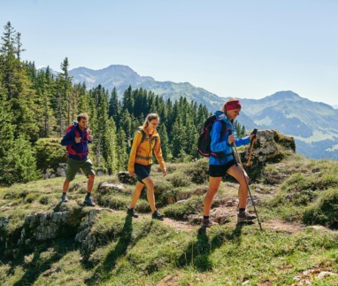 Wandelaars met rugzakken op een bergpad in de Bregenzerwald, omringd door bossen en bergen.