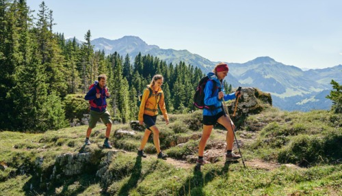 Wandelaars met rugzakken op een bergpad in de Bregenzerwald, omringd door bossen en bergen.