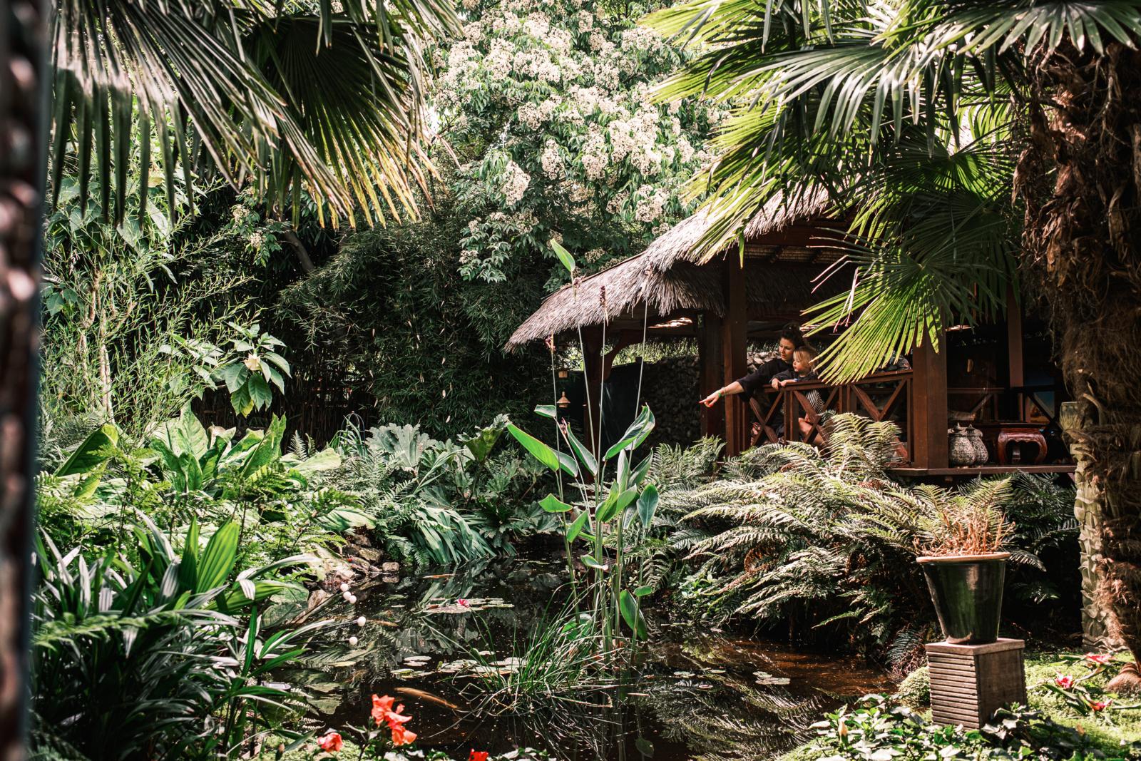 Balinese tuin en imkerij met tropische kas met vijver, palmen en houten paviljoen in Hortus Haren, Groningen