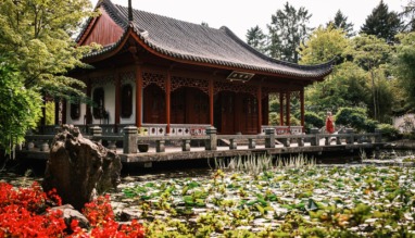 Traditionele Chinese paviljoenbrug en vijver in Hortus Haren