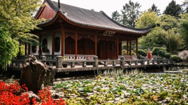 Traditionele Chinese paviljoenbrug en vijver in Hortus Haren