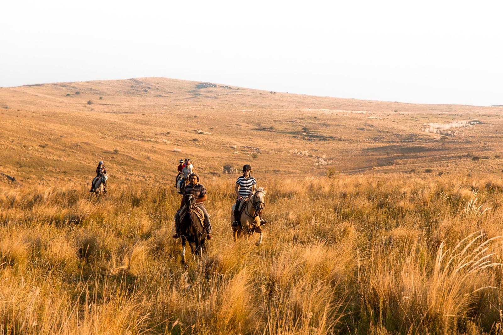 Ruiters te paard op de uitgestrekte pampa bij een estancia in Argentinië.
