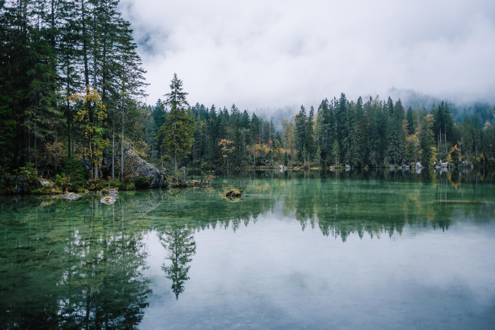 Hintersee met spiegelend water en bossen in Nationaal Park Berchtesgaden