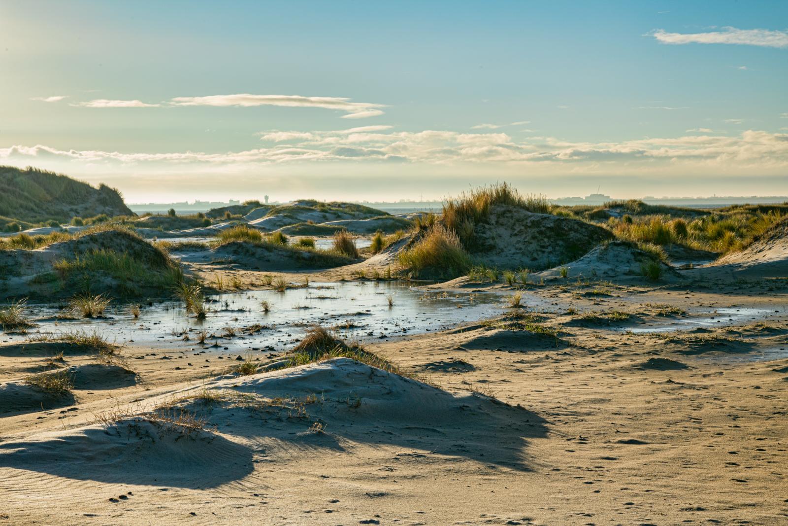 Duinlandschap met waterplassen en helmgras bij De Hors op Texel