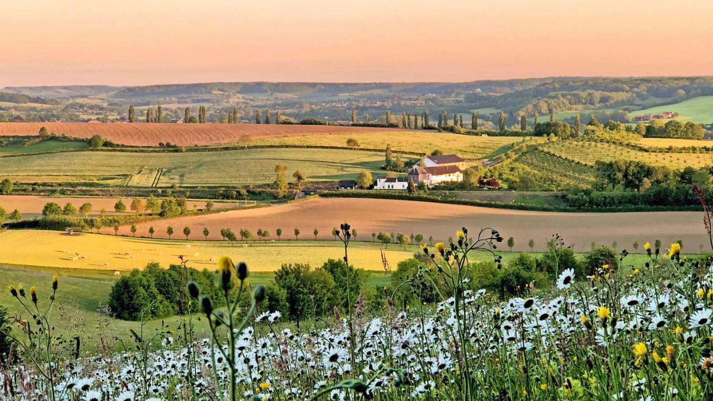Glooiend landschap bij Eys in Zuid-Limburg met akkers en bloemen.