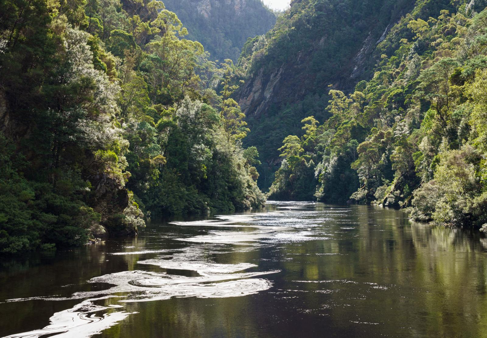 Franklin River in de ongerepte regenwouden van Tasmanië, Australië.