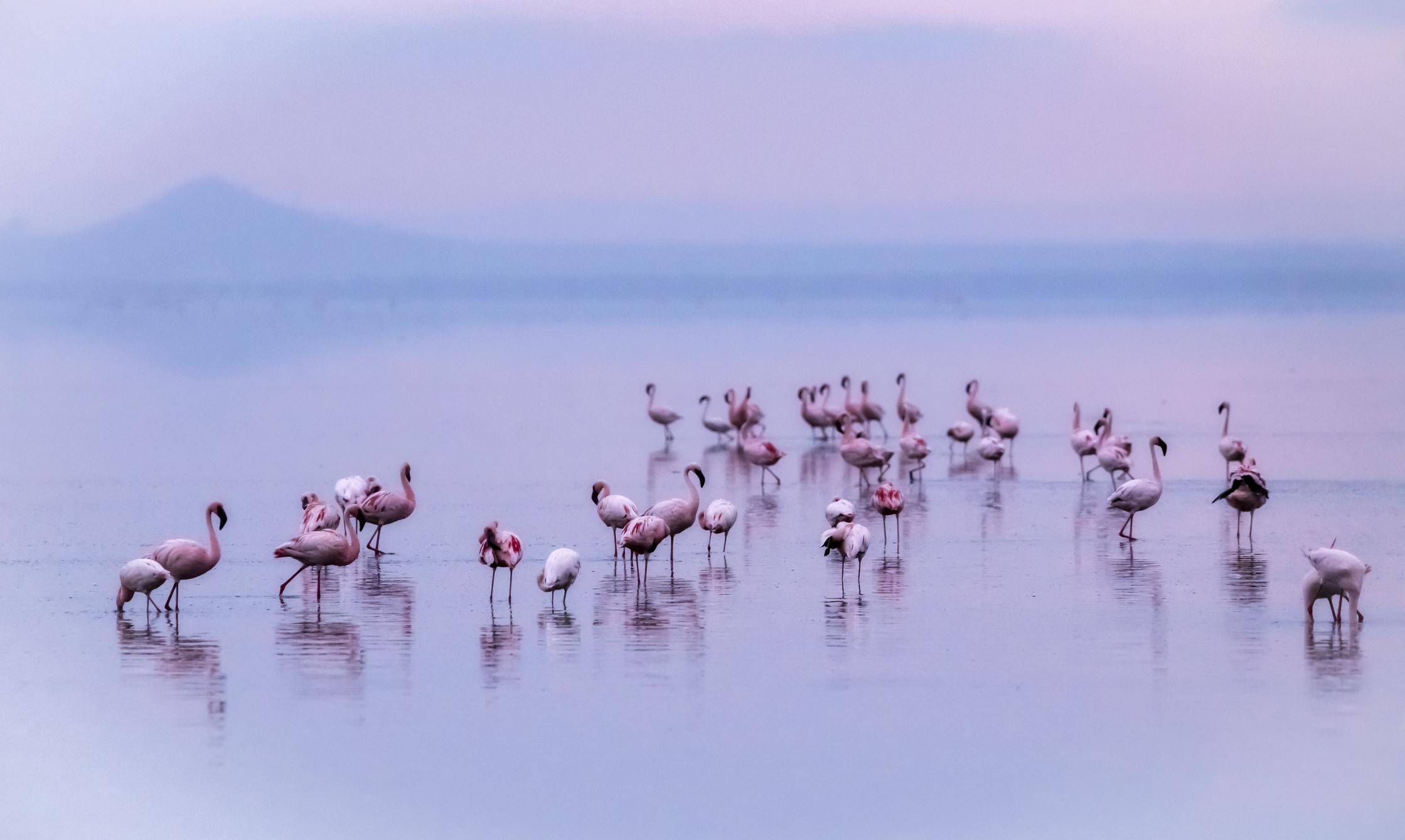 In de voetsporen van 'Wie is de Mol?': Kijk verder dan de klassieke safari in Lake Manyara