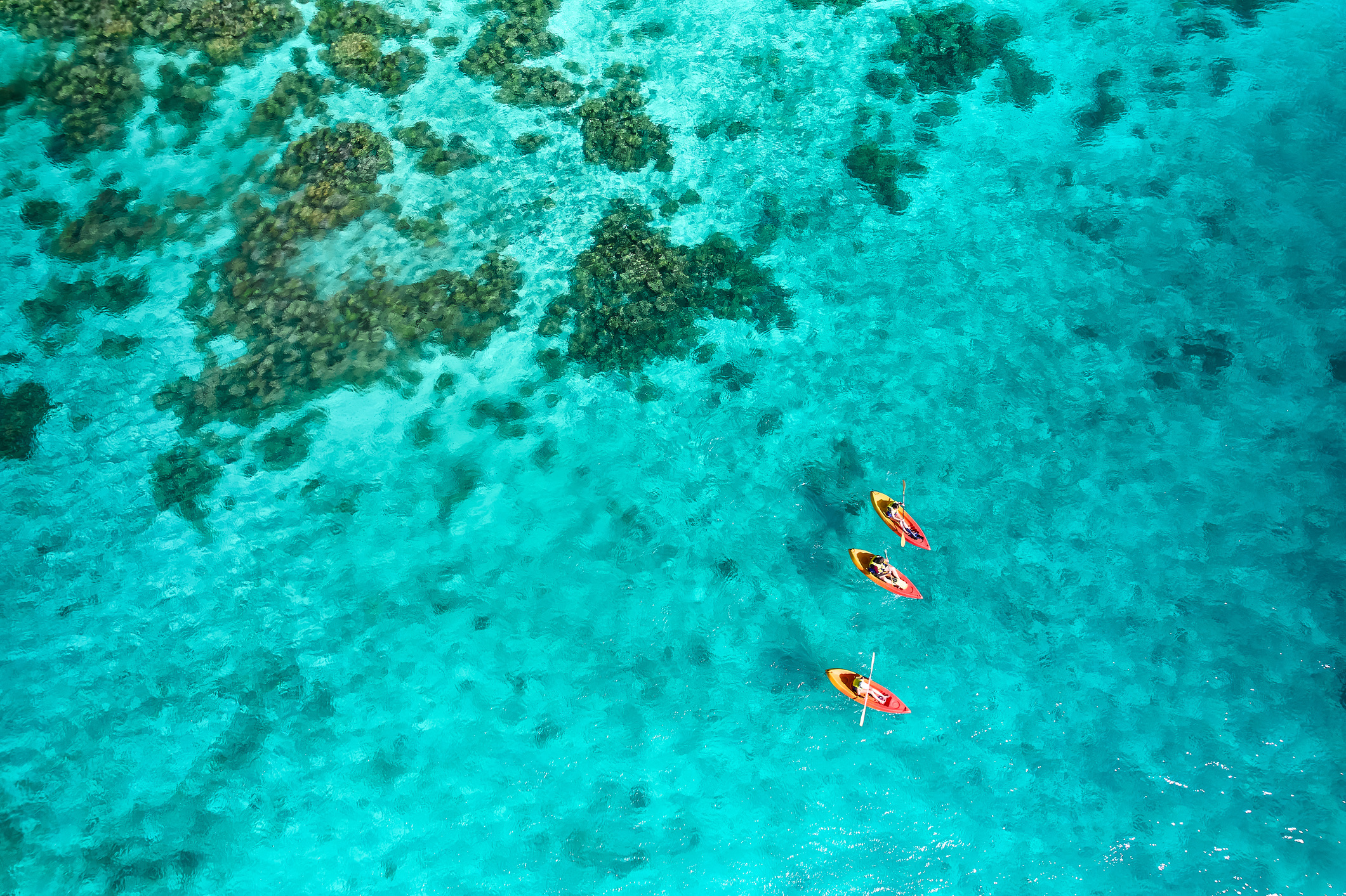 Kajakkers boven een koraalrif bij de Yasawa-eilanden in Fiji.