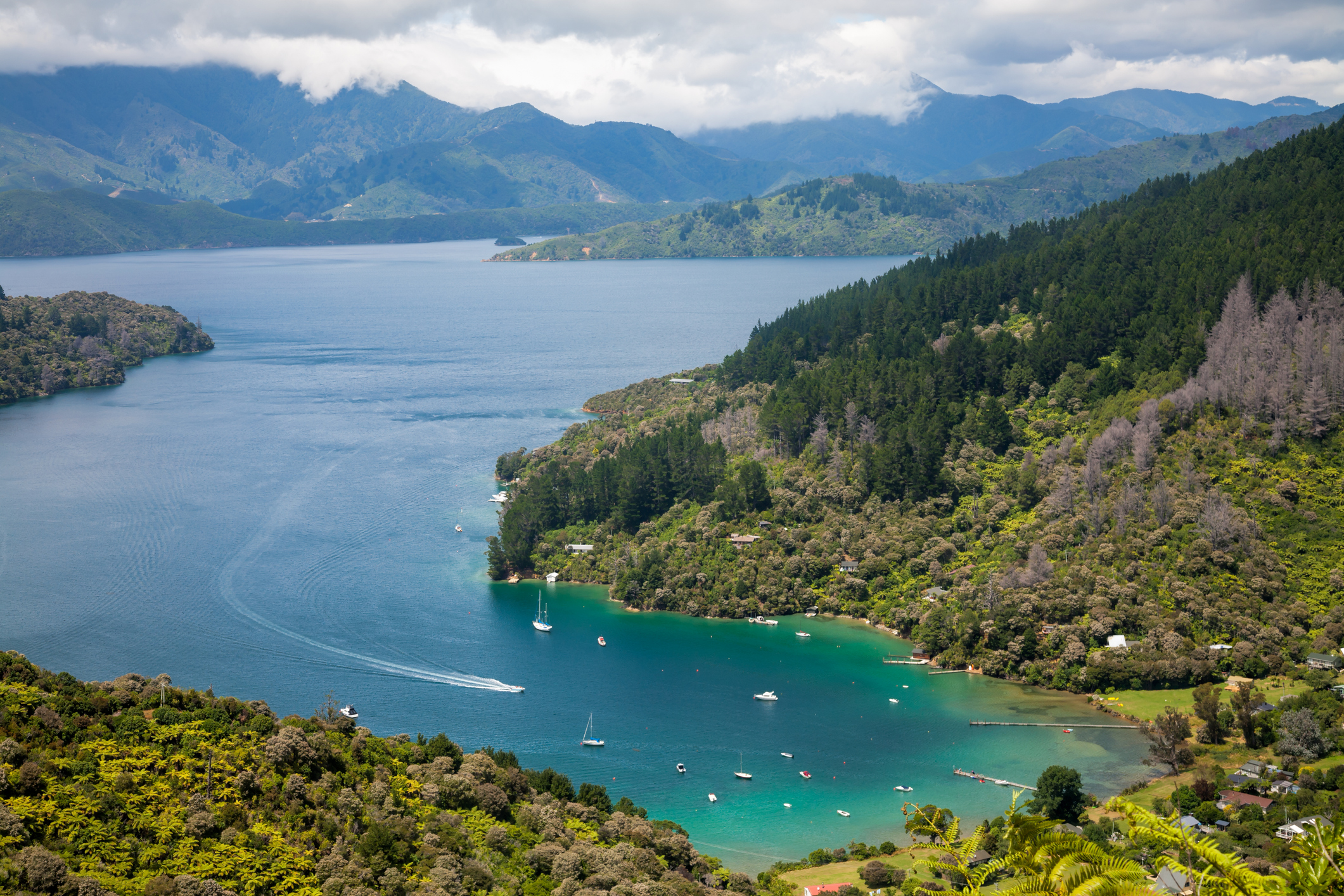 Uitzicht over de turkooizen baaien van Nieuw-Zeeland vanaf de Queen Charlotte Track. 