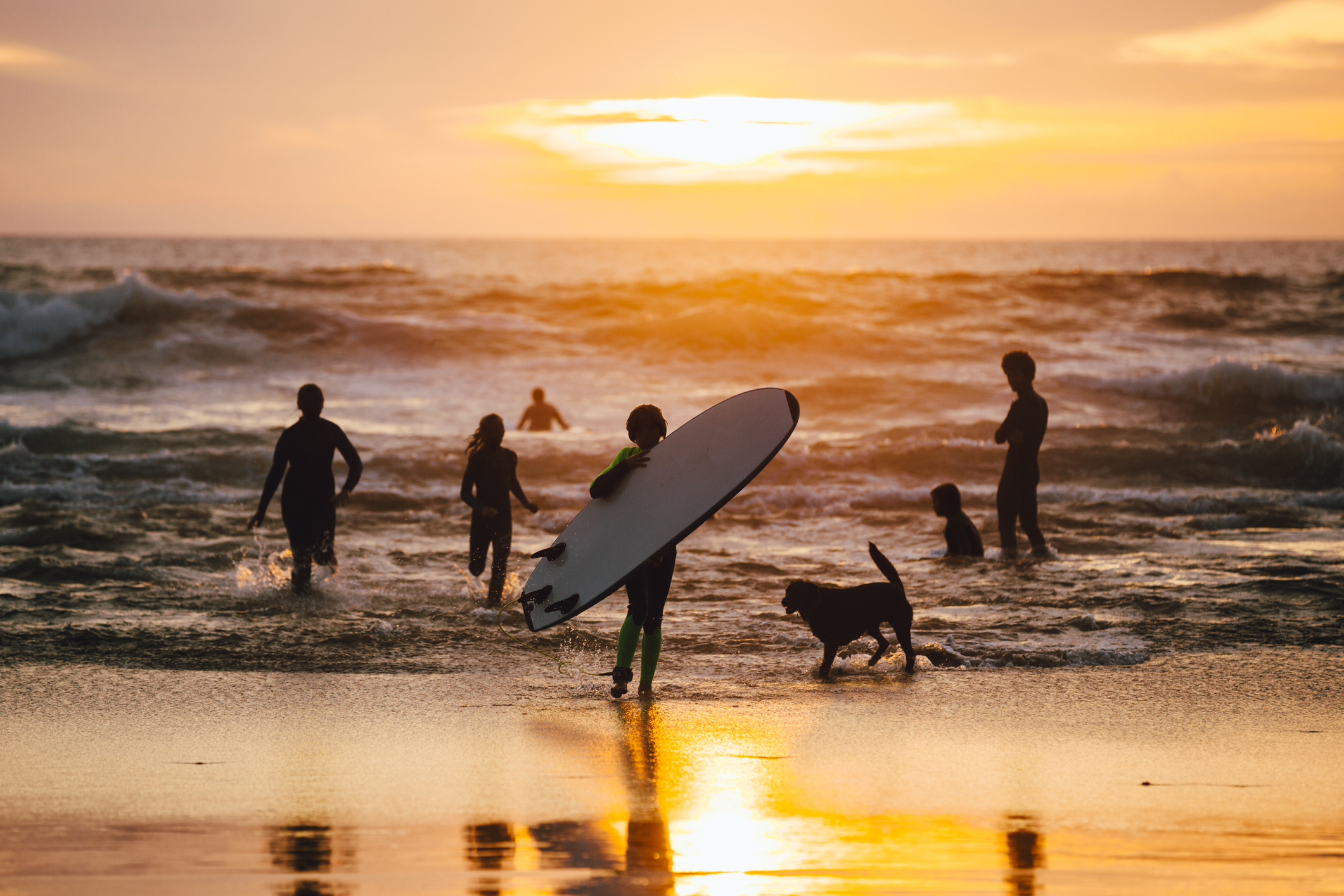 Bij Arrifana in Portugal surf je op krachtige golven tegen een decor van dramatische kliffen. 