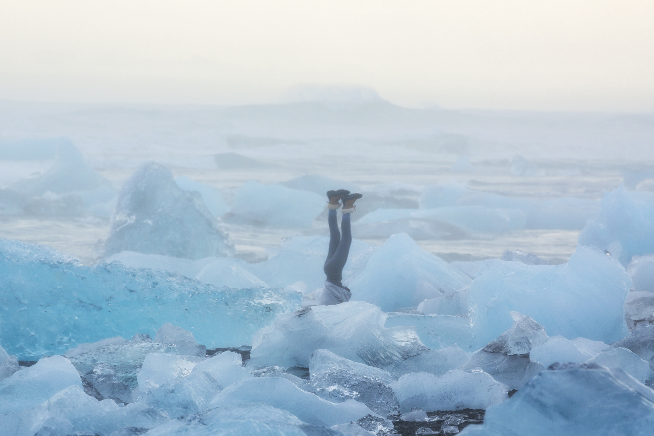 Cruciaal is dat je absoluut geen ambitie hebt om een betere fotograaf te worden; hoe slechter het resultaat, hoe groter de kans op succes. 