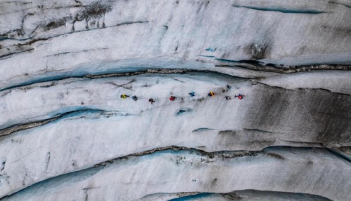 Groep wandelaars loopt aangelijnd over een gletsjer met diepe ijsspleten.