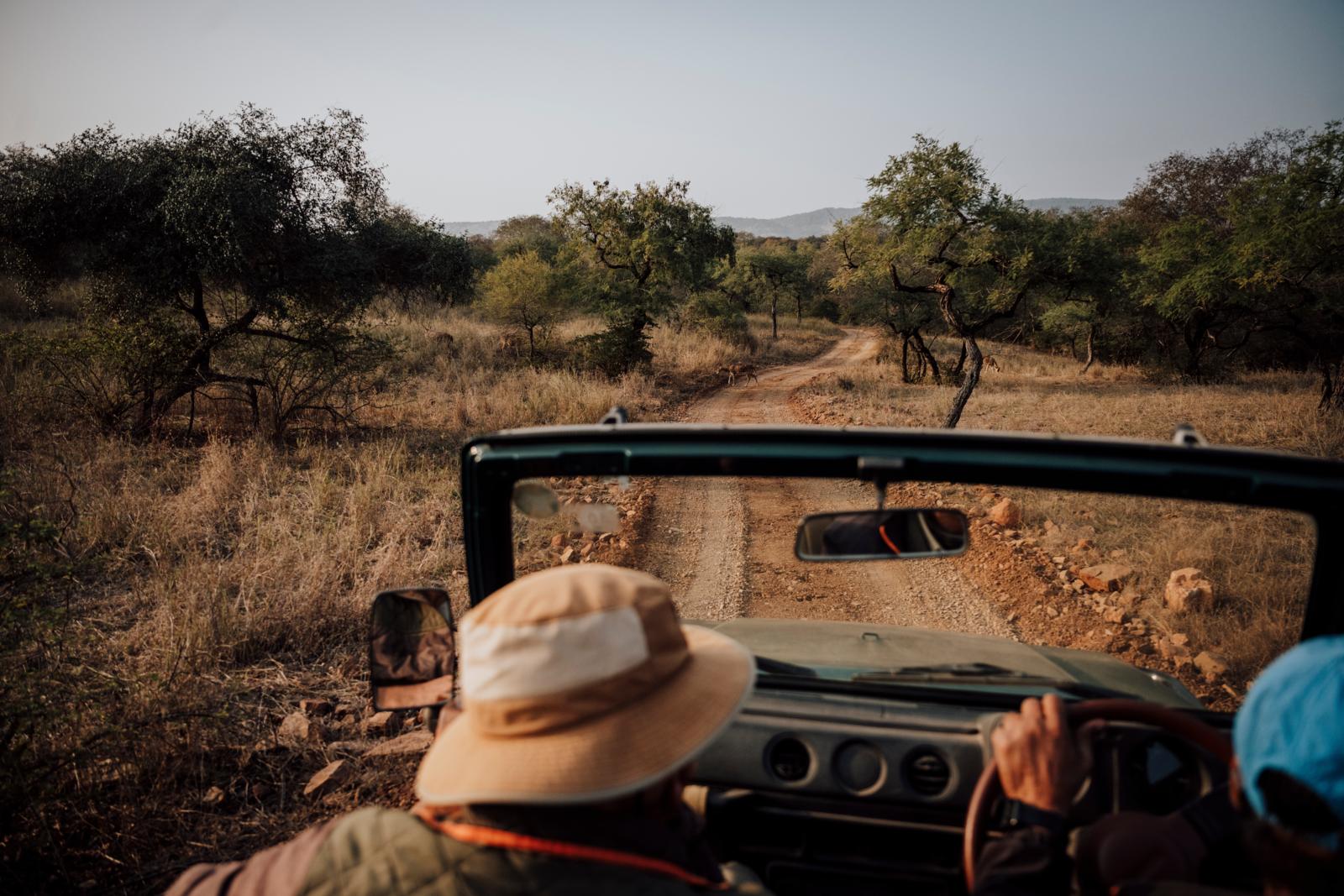 Jeepsafari over een zandpad in Ranthambore National Park in Rajasthan, India