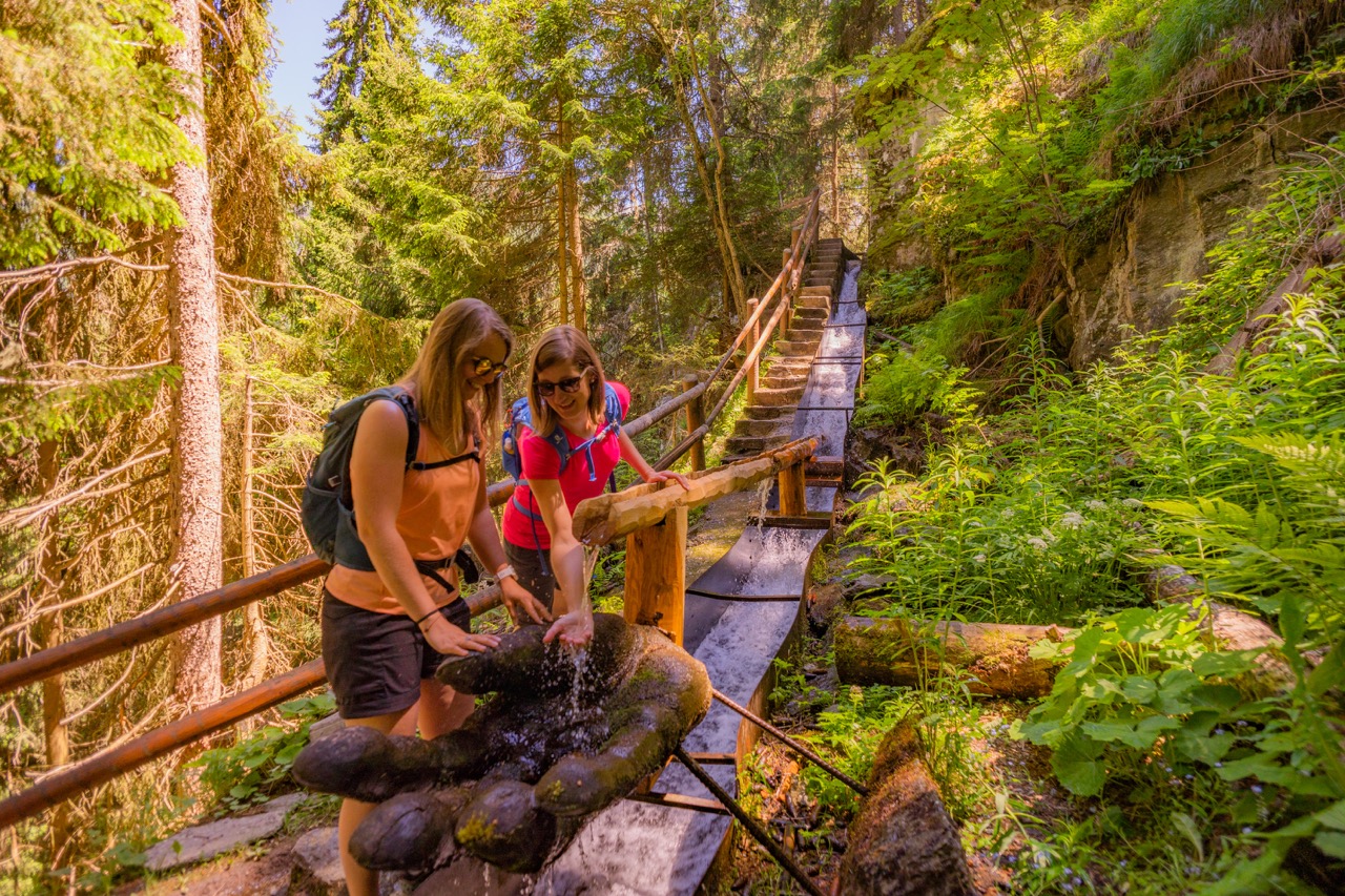 In Wallis werden er eeuwen geleden bisses aangelegd die rivierwater naar gewassen op de berghellingen leidden. Ook in de omgeving van Nendaz vind je een netwerk van deze historische irrigatiekanalen. 