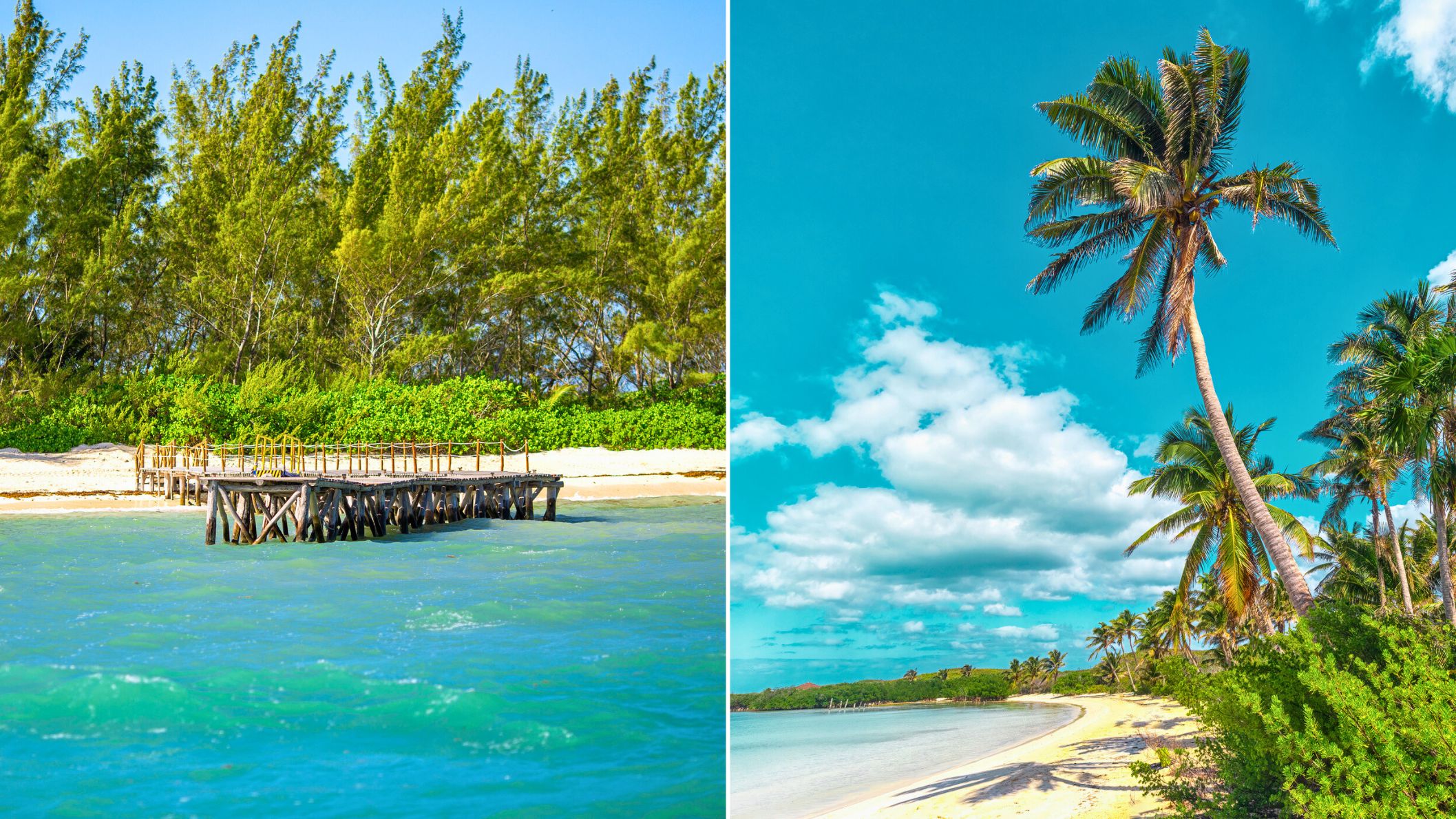 De mooiste stranden ter wereld volgens Tripadvisor: Isla Pasion in Mexico. Ons alternatief: Isla Contoy.