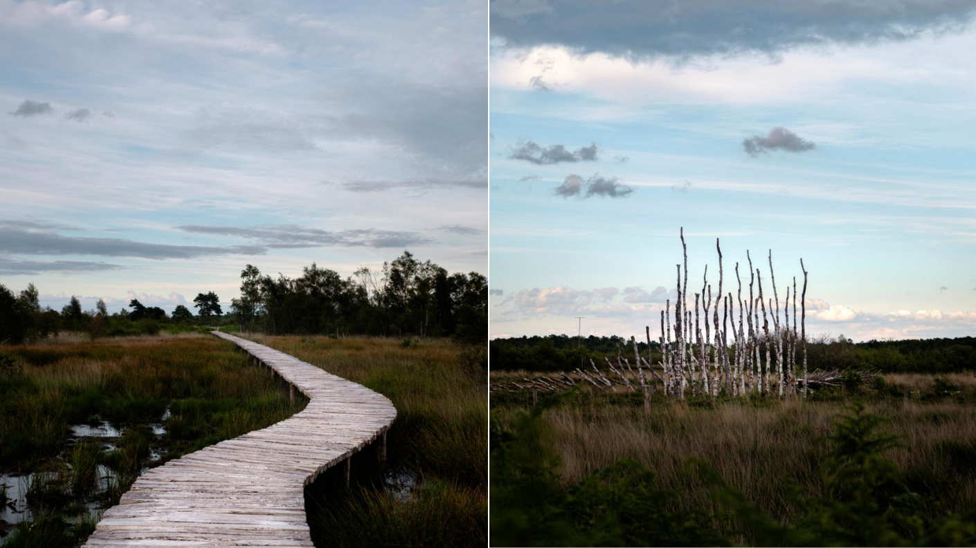 Knuppelpad door moeras en kunstinstallatie in Nationaal Park De Groote Peel.