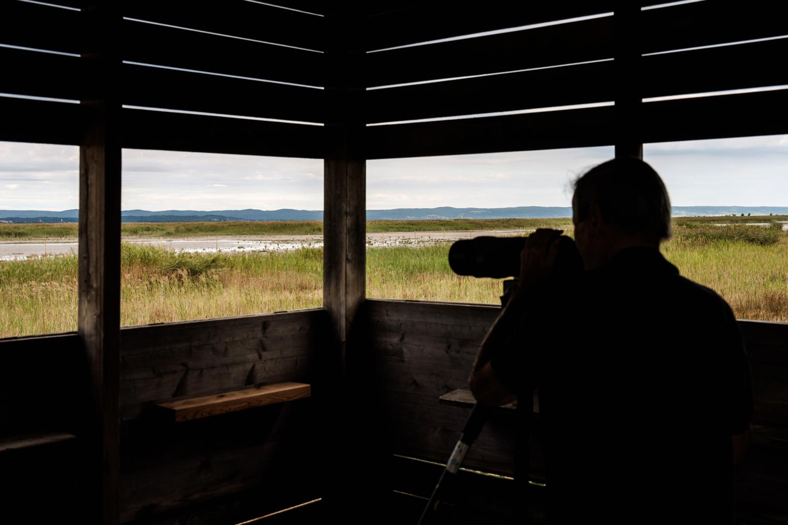 Het lijkt op een eindeloze zee. Maar wie een paar stappen in het water van het Neusiedlermeer zet, merkt al snel: dieper dan anderhalve meter wordt het nergens. Rond het grootste steppemeer van Midden-Europa, met zijn rietkragen en glinsterende waterspiegel, voelt Oostenrijk haast mediterraan aan. 