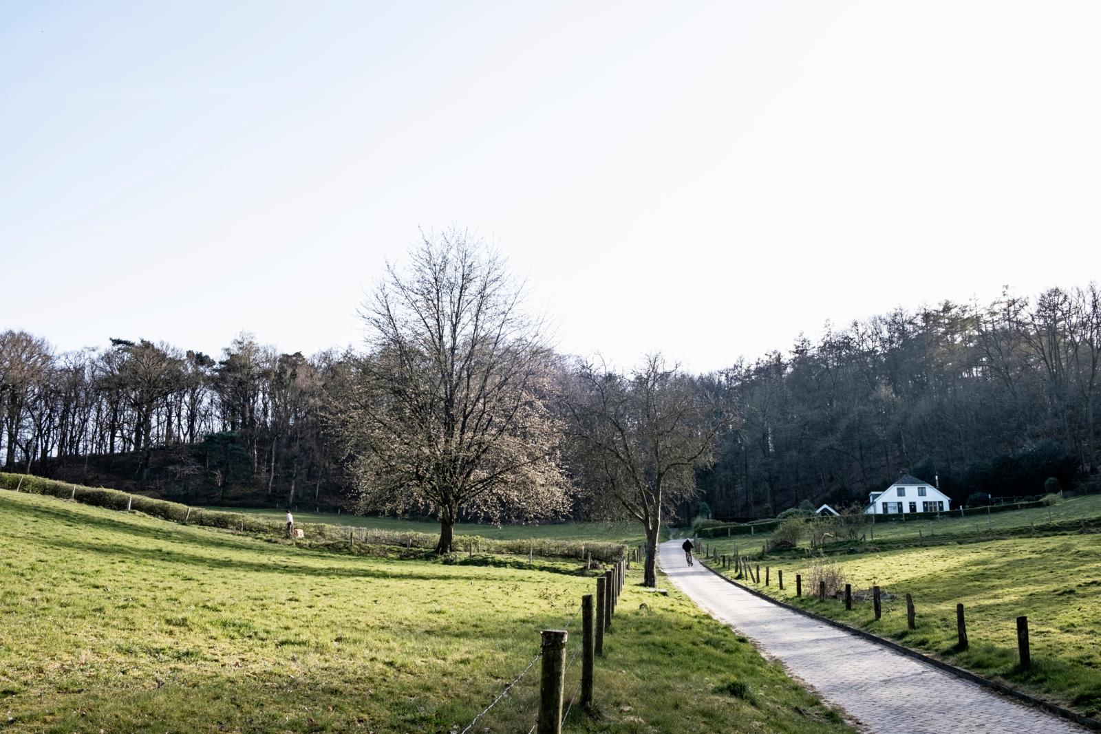 Wandelpad door heuvelachtig landschap van Berg en Dal bij Nijmegen