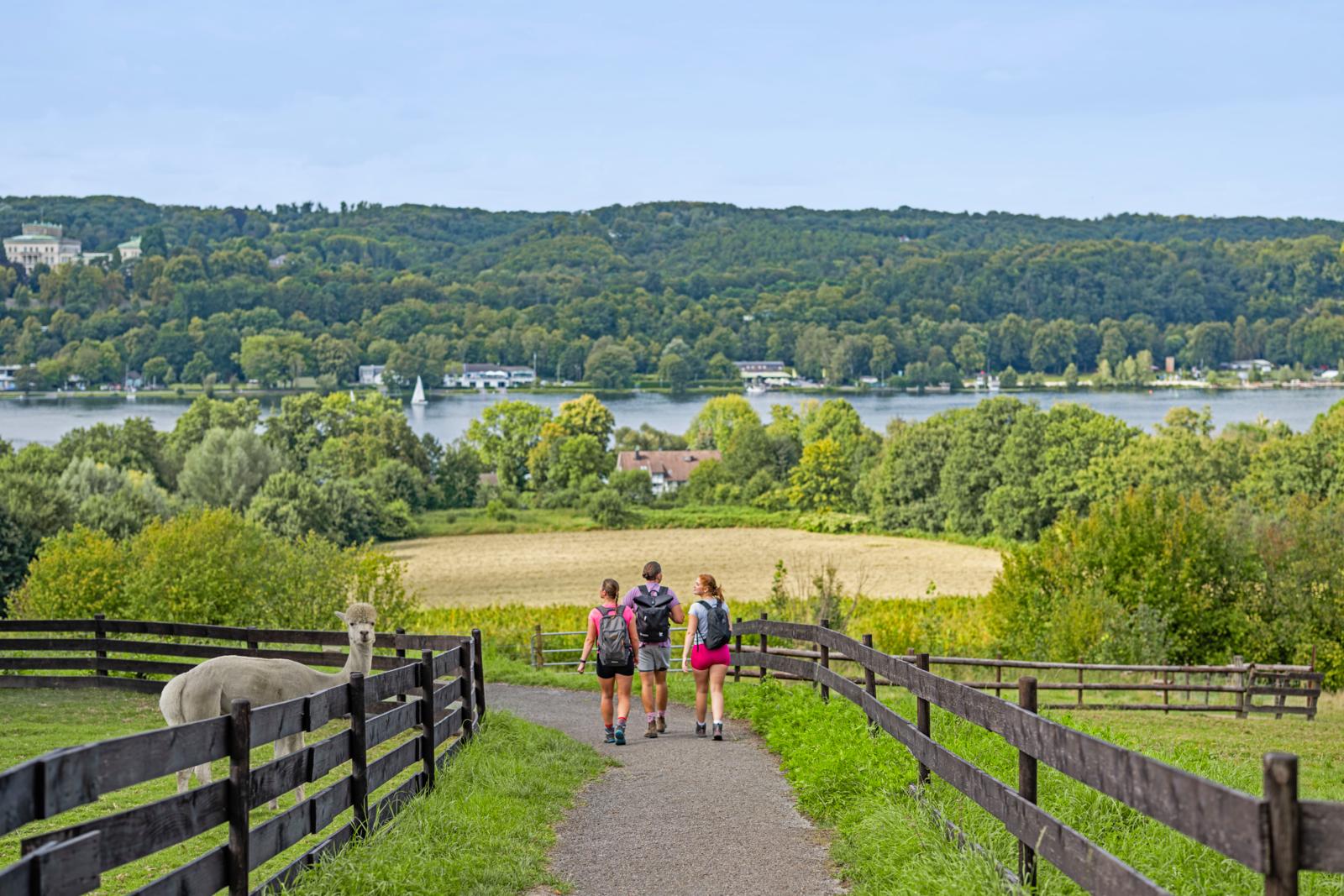 Wandelaars lopen over de BaldeneySteig met uitzicht op de Baldeneysee bij Essen, Duitsland