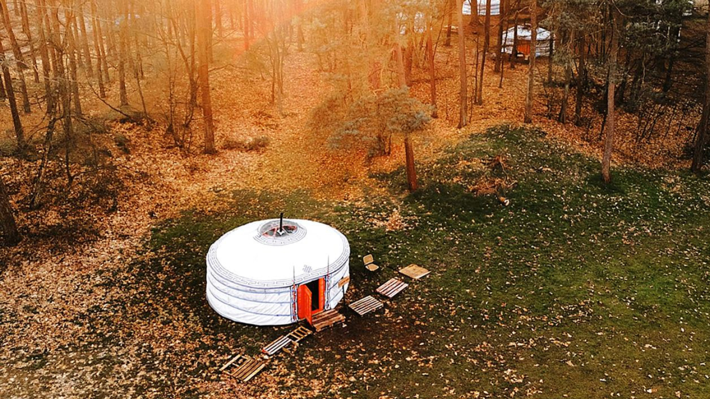 Traditionele Mongoolse yurt in bosrijke omgeving in Nederland.
