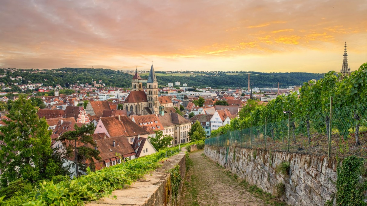 Uitzicht op Esslingen am Neckar met historische binnenstad, kerktorens en wijngaarden