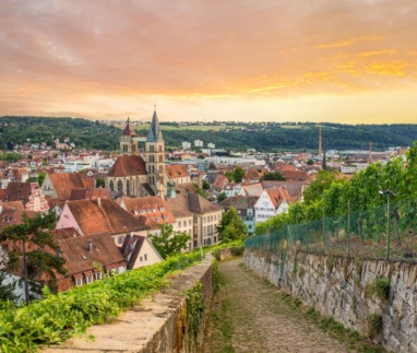 Uitzicht op Esslingen am Neckar met historische binnenstad, kerktorens en wijngaarden