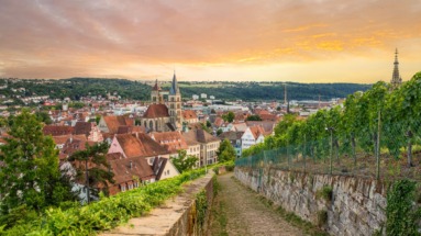 Uitzicht op Esslingen am Neckar met historische binnenstad, kerktorens en wijngaarden