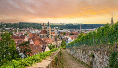Uitzicht op Esslingen am Neckar met historische binnenstad, kerktorens en wijngaarden