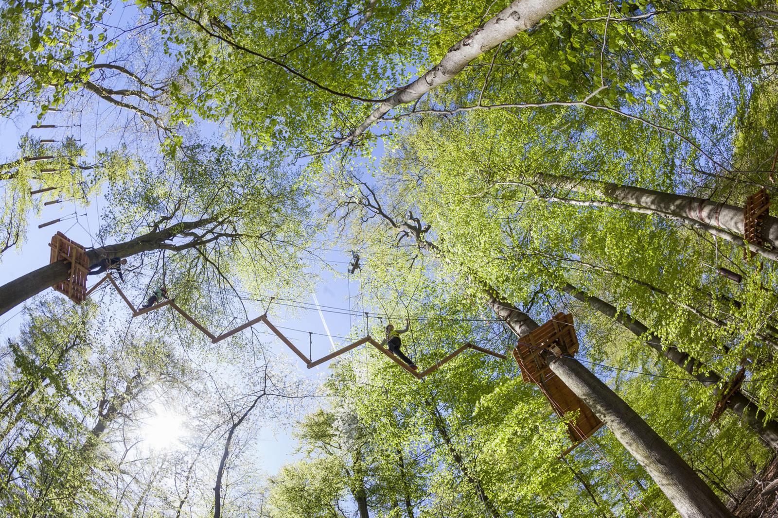 Mensen klimmen op houten bruggen hoog tussen de groene boomtoppen van het klimbos op de Neroberg.