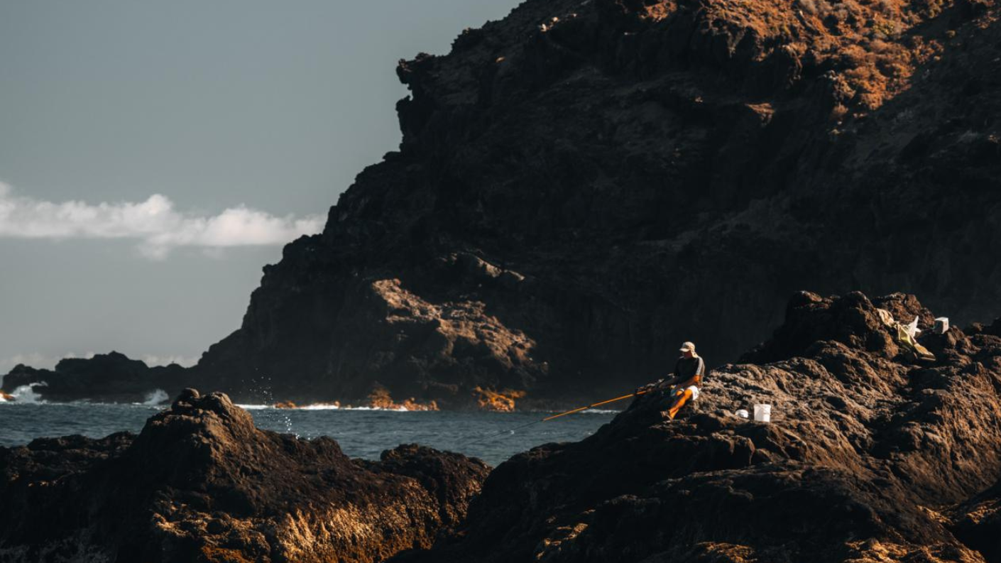 visser op zwarte lavarotsen aan de ruige kust bij Garachico op Tenerife